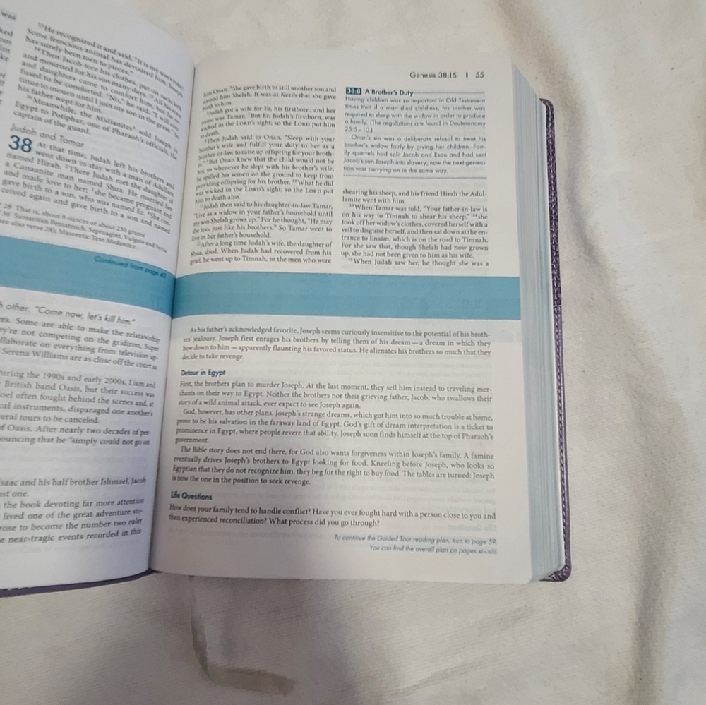 Purple NIV zondervan student bible - Picture 3 of 15